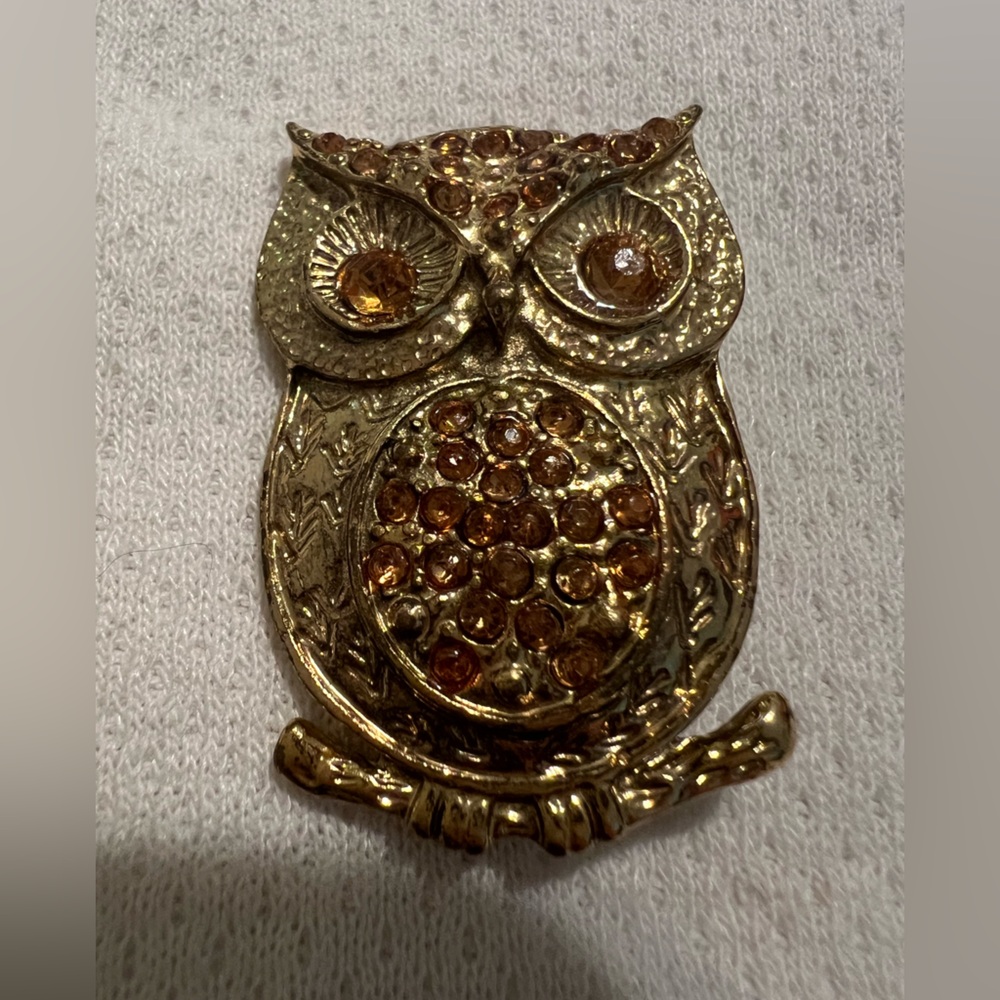 Vintage Gold and Brown Owl Brooch EUC